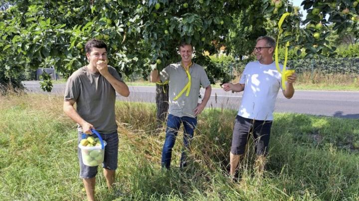 Das Gelbe Band