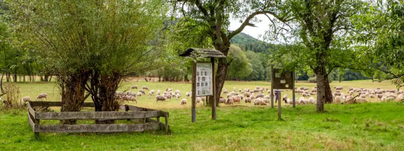 Naturpark Haßberge & Steigerwald
