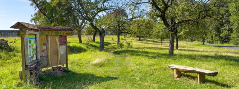 Spaziergänge & Wandern