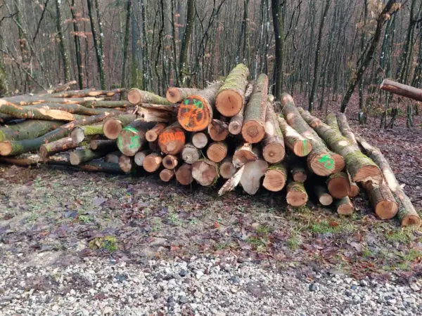 Restmenge Brennholz