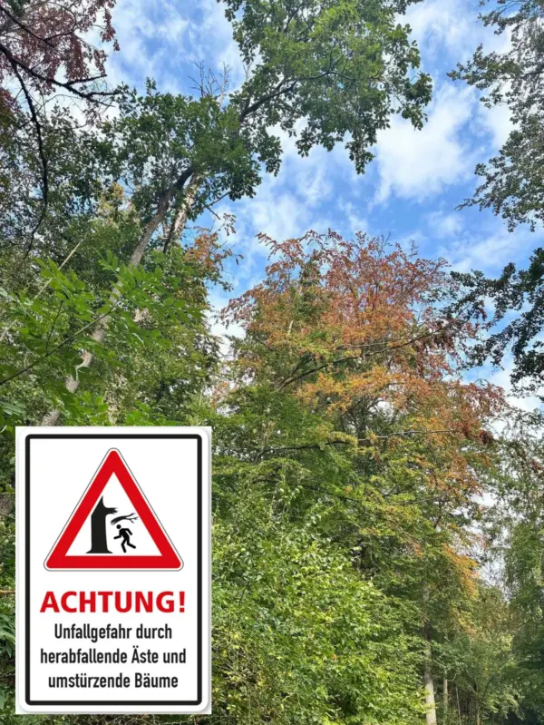 🚨 ACHTUNG TROCKENHEIT: Gefahr im Wald 🚨 Foto
